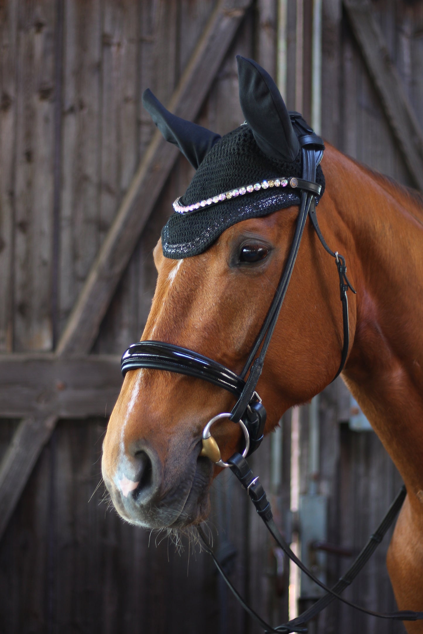 Fliegenhaube Glitzer