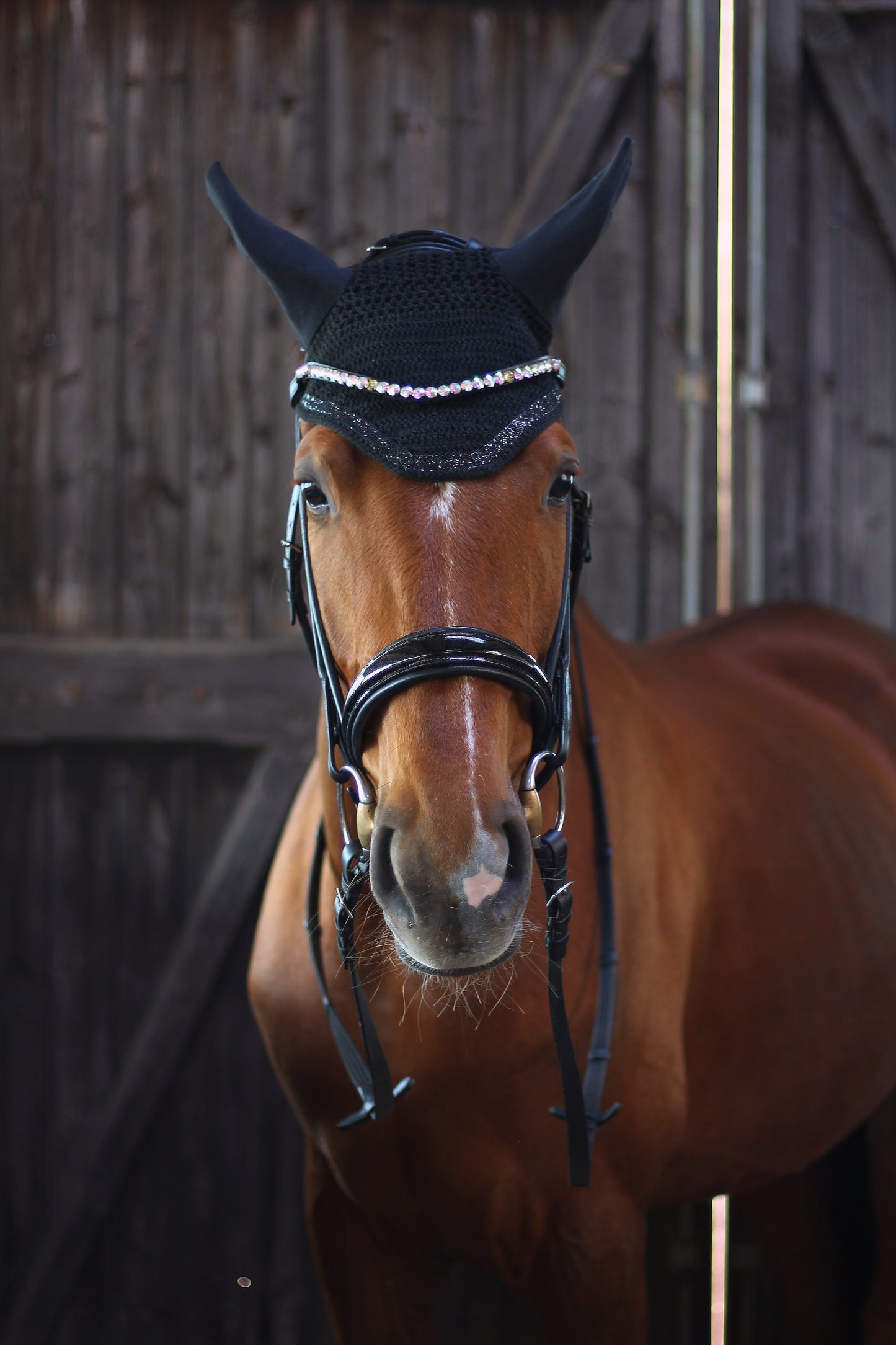 Fliegenhaube Glitzer
