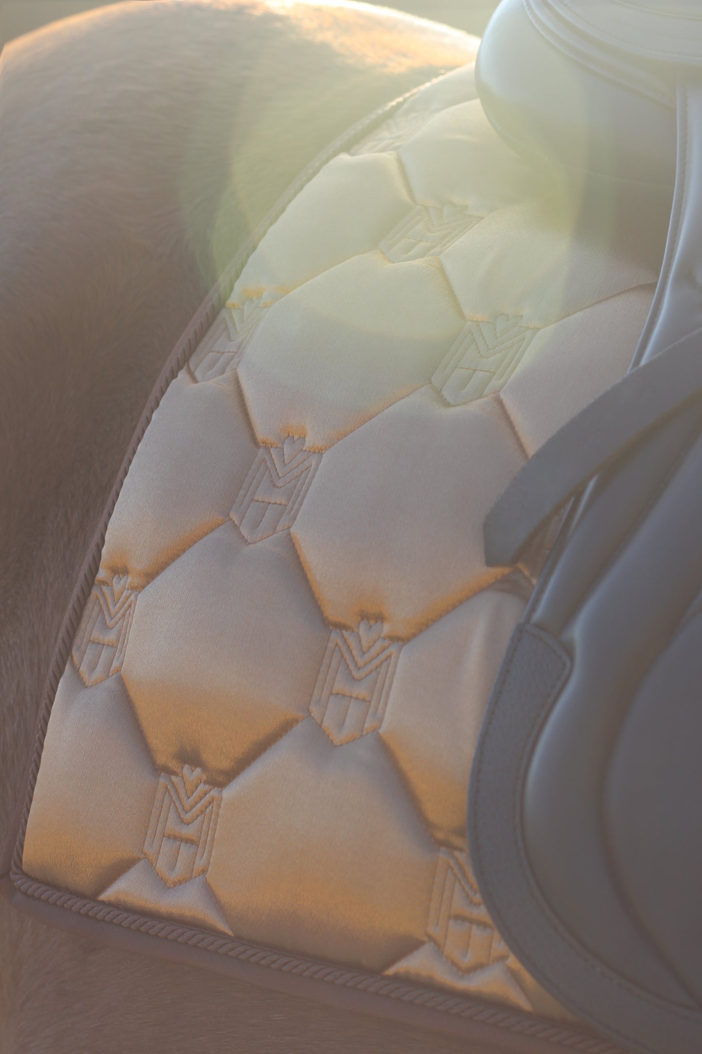 Einzigartige Satteldecke Gold oder Schwarz Dressur | Atmungsaktive Schabracke mit Satin & Griff