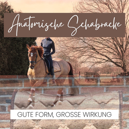 Anatomische Satteldecken – gute Form, große Wirkung