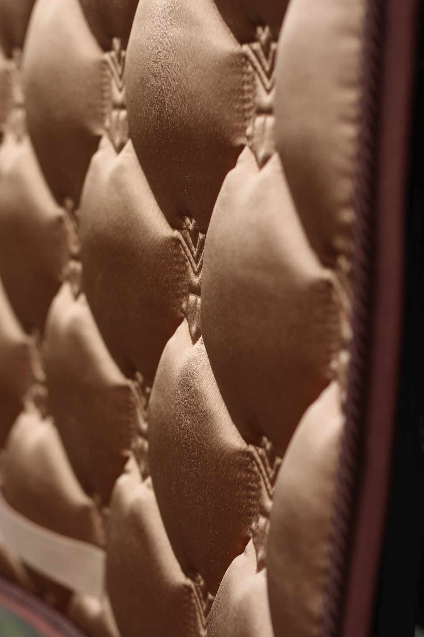 Einzigartige Satteldecke Gold oder Schwarz Dressur | Atmungsaktive Schabracke mit Satin & Griff