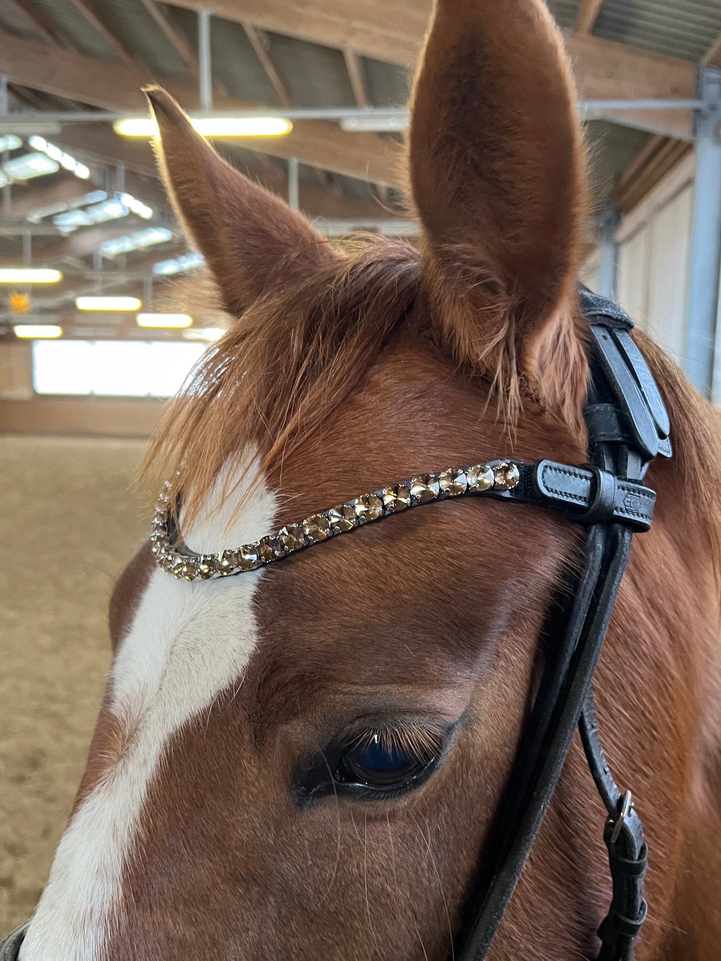 Glitzer Stirnriemen - Schnellverschluss - schwarzes Leder