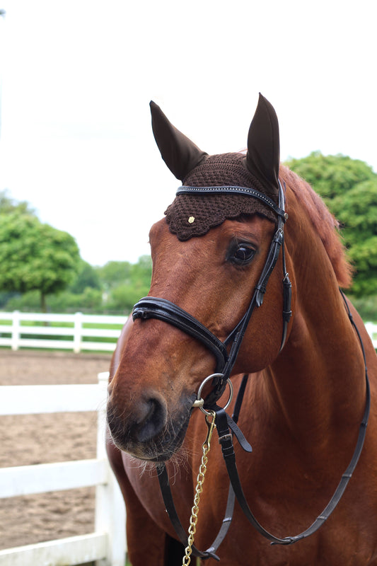 Fliegenhaube