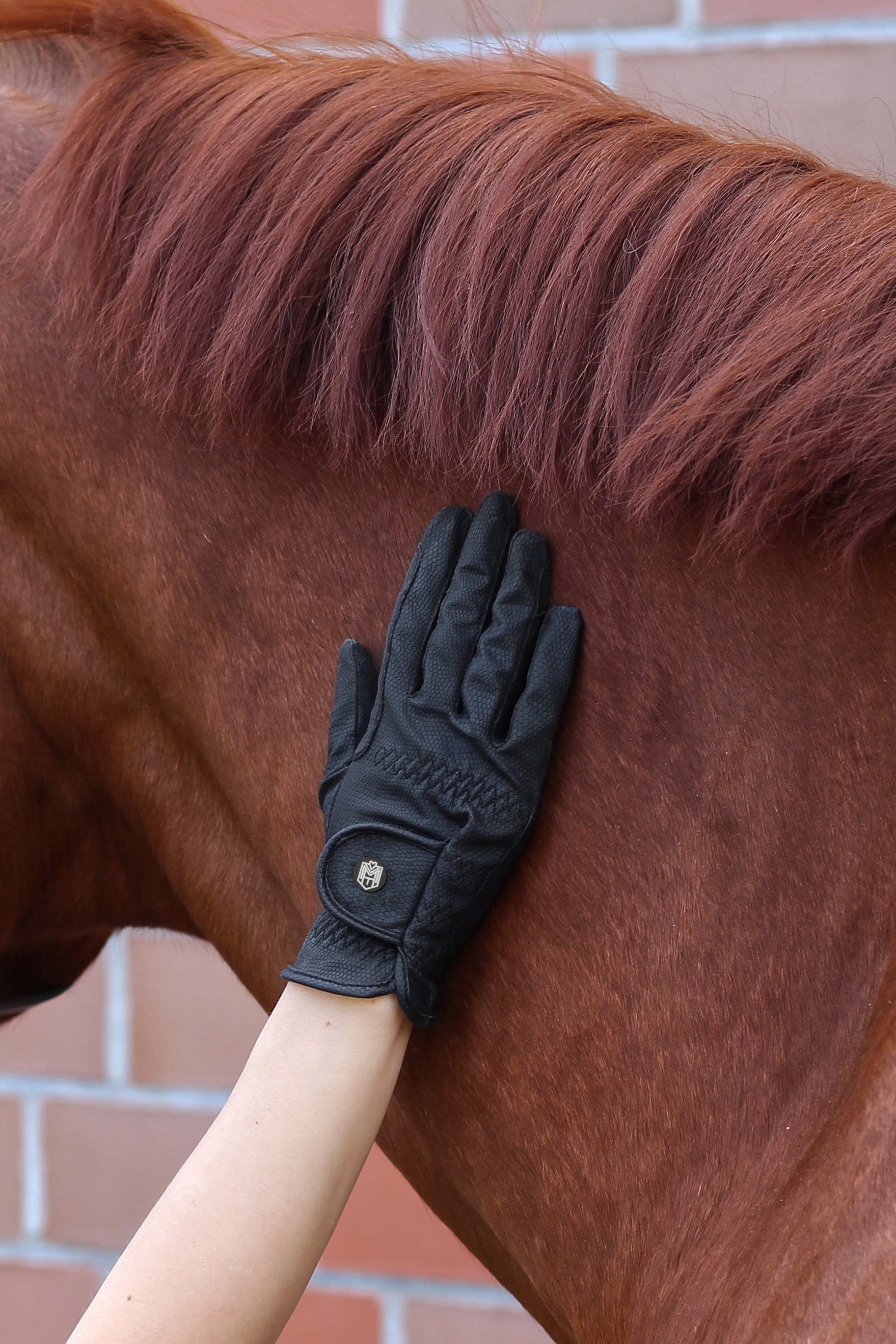 handschuhe pferd Reithandschuhe – Equip My Horse